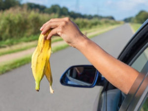 Arm dropping banana skin from car window